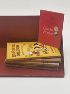 Garnie de livres - Étagère murale ZT1954