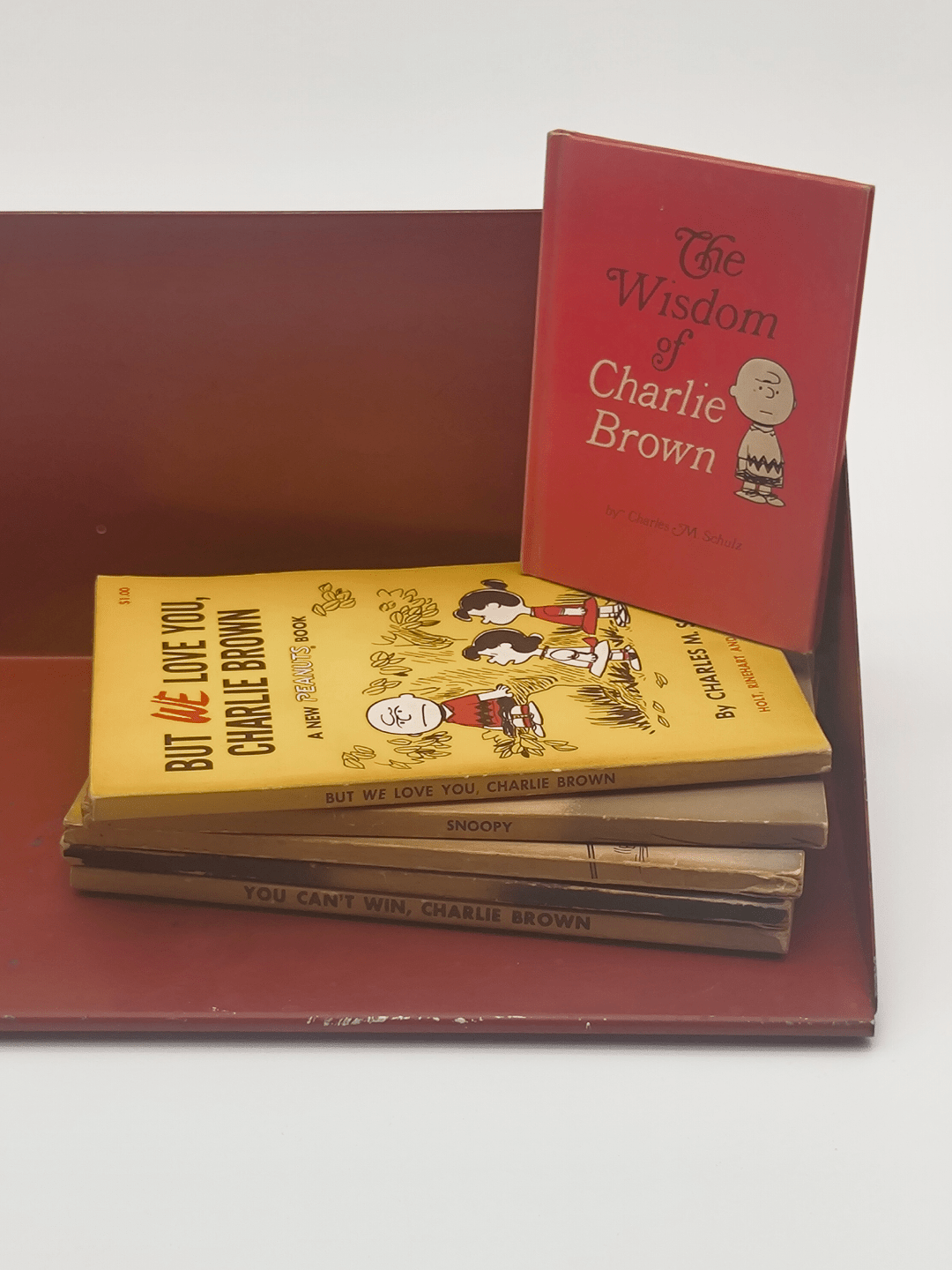 Garnie de livres - Étagère murale ZT1954